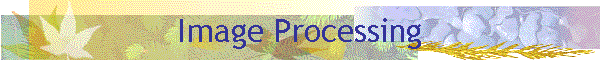 Image Processing